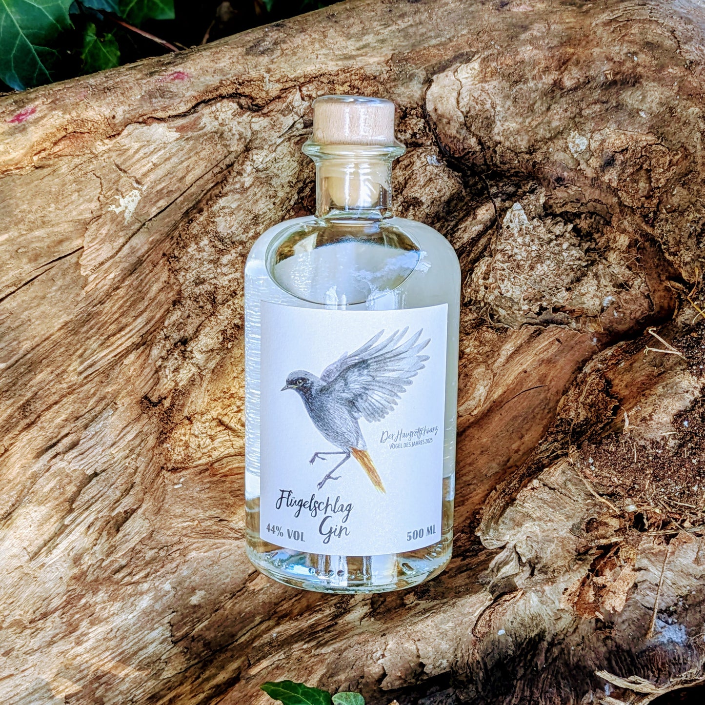 Flügelschlag Gin 2025 - Der Hausrotschwanz